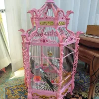 عروس هلندی و قفس خوشگل