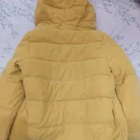 کاپشن|لباس|نکا, |دیوار