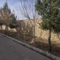 زمین  فروشی مسکونی