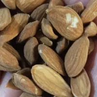 مغز بادام شیرین ارگانیک ومحصولات باغی