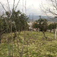 ۱۵۰۰ متر زمین سند دار شهری