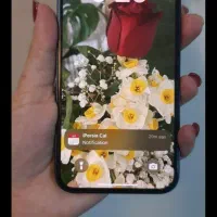 آیفون۱۲