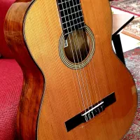 گیتار کلاسیک جدید ESTEVE 4STE استیو پاپ اسپانیایی