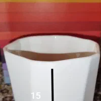 گلدون