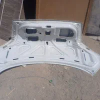 کاپوت و درب صندوق ریو