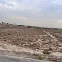 زمین|فروش زمین و ملک کلنگی|قرچک, صالح آباد|دیوار