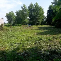 زمین باغی|فروش زمین و ملک کلنگی|رشت, جانبازان|دیوار