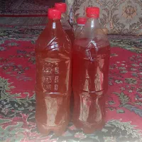 رب کوهسرخ درجه یک . شیره انگور طرقی کوهسرخ آبغوره|خوردنی و آشامیدنی|کوهسرخ, |دیوار