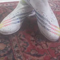 کفس سالنی به شرط اصل