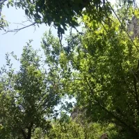 راهنمایی ملکی