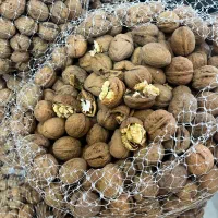گردو تویسرکان