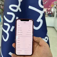 iphone 12|موبایل|قم, چهل درخت‎|دیوار