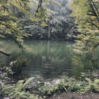 تور زمینی قیمت مناسب داخلی رشت کاشان شیراز و....