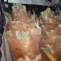 نخل قطع شده|خوردنی و آشامیدنی|شیراز, سایت اداری|دیوار