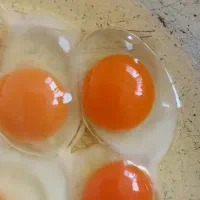 تخم مرغ محلی