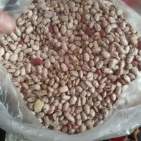 باقلی|خوردنی و آشامیدنی|فومن, |دیوار