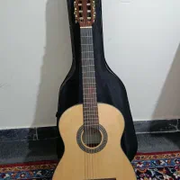 گیتار ویکند ساخت اندونزی به همراه هاردکیس