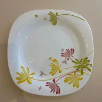 ارکوپال ایرانی|ظروف سرو و پذیرایی|کرج, کوی کارمندان جنوبی|دیوار