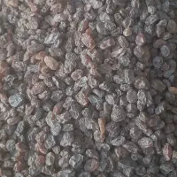 کشمش بیدانه افتابی