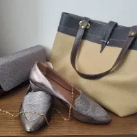 کیف کرمی زنانه و ست کیف و کفش مجلسی شاین