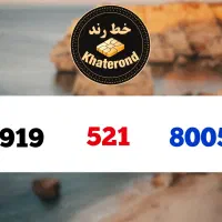 0919.417.6009|سیم‌کارت|اصفهان, خواجو|دیوار