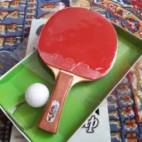 راکت پینگ پنگ ویلاشهر