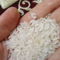 برنج هومالی