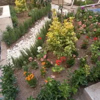 باغبانی گل گیاهرس کاری چمن زنی تمیز کردن باغچه