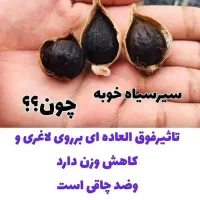 سیر سیاه|خوردنی و آشامیدنی|ساری, |دیوار
