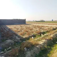 باغچه