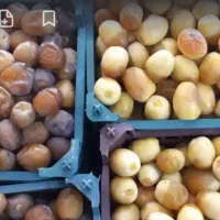 رطب وخرما بسته بندی