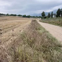 زمین کشاورزی