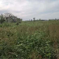 فروش زمین سیاهکل