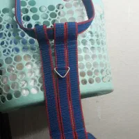 ابساروسینه بند|لوازم جانبی حیوانات|تهران, باغ خزانه|دیوار