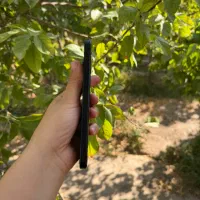 Iphone 15pro max|موبایل|فردیس, داوری|دیوار