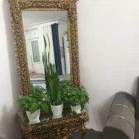 آینه قدی زیبا و نو|آینه|بجنورد, |دیوار