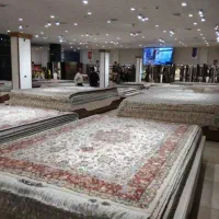 اولین نماینده رسمی کاشان در بوشهر
