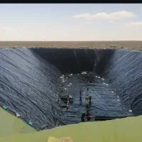 استخر کشاورزی /استخر پرورش ماهی/ورق ژئوممبران/موکت|خدمات باغبانی و درختکاری|جغتای, |دیوار