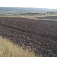 زمین کشاورزی ۸هزاروپونصدهفتادمتر