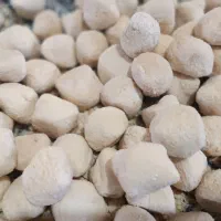 تولیدی کشک و ترف و روغن و ...|خوردنی و آشامیدنی|کرمان, |دیوار