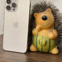 ایفون 13 pro max