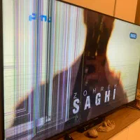 پنل ایکس ویژن ۵۵ اینچ