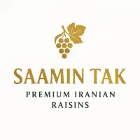تولید محتوا + حسابداری ساده