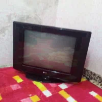 تلویزیون