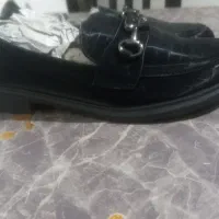 کفش|کیف، کفش، کمربند|مشهد, شیرودی|دیوار