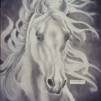 طراحی چهره با نصف قیمت