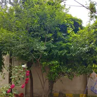 اجاره سالیانه باغچه ویلا۳۰۰متری با۱۲۰ بنا چهارفصل|اجارهٔ خانه و ویلا|مشهد, میان ولایت|دیوار