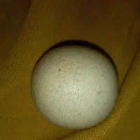 سنگ عطیقه شیک کم یاب