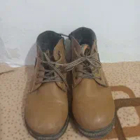 کفش ها|کیف، کفش، کمربند|قوچان, |دیوار