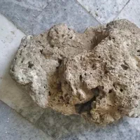 صخره مرجانی تصفیه شده مرده و نمک ابشور|ماهی|پردیس, فاز ۴|دیوار